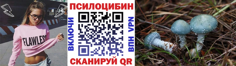 Галлюциногенные грибы Psilocybe  купить наркоту  ОМГ ОМГ рабочий сайт  Среднеколымск 